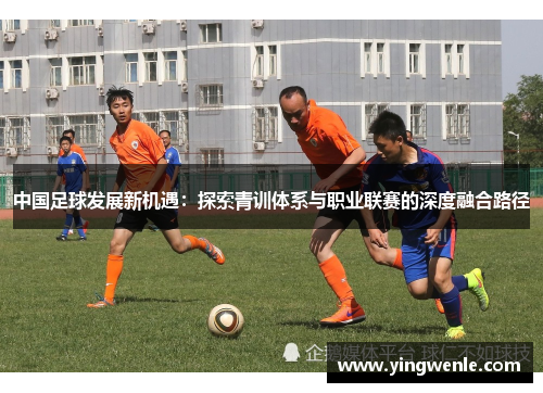 中国足球发展新机遇：探索青训体系与职业联赛的深度融合路径